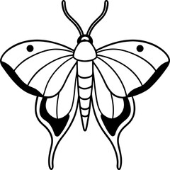 Simple Sea Butterfly Outline Design