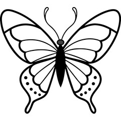 Simple Sea Butterfly Outline Design