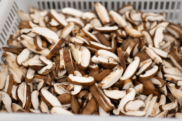 Sliced Shiitake Mushrooms in White Plastic Basket Showing Fresh Texture