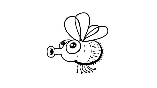 Fly cartoon dynamic animal doodle whiteboard. Cute black and white character for any use. White screen seamless loop.
