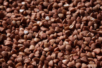 Buckwheat groats, top view. Raw large buckwheat grains. Close-up view.