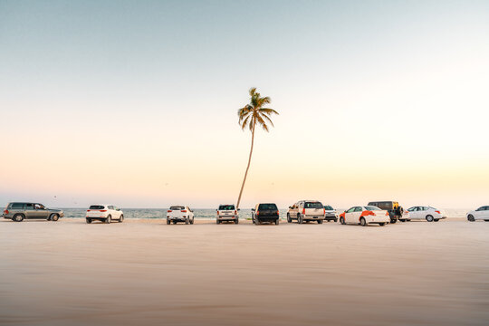 Autos geparkt an einem weiten Sandstrand mit einzelner Palme bei Sonnenaufgang oder Sonnenuntergang salalah Oman
