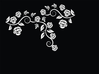 Elegant White Rose Vine Corner Design on Black Background