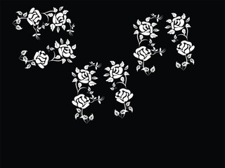 Elegant White Rose Floral Design on Black Background