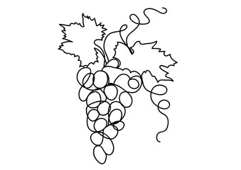 Vector line simple illustration, bunch of grapes in outline style, grapes on vine, print, sticker and poster design. Black one continuous line vector illustration isolated on white background.