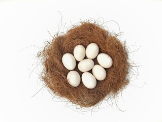 nest with chicken eggs isolated on white background 