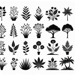 Tropical Plants and Trees Silhouette Set – Vector Collection of Palm Trees, Leaves, and Botanical Elements in Black and White