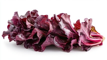 Fresh Red Chard Leaves Vibrant Purple Vegetable Organic Food Healthy Eating Ingredient Culinary Photography Studio Shot Isolated White Background Natural Product Rich Color Close Up Detail High       