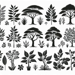 Tropical Plants and Trees Silhouette Set – Vector Collection of Palm Trees, Leaves, and Botanical Elements in Black and White