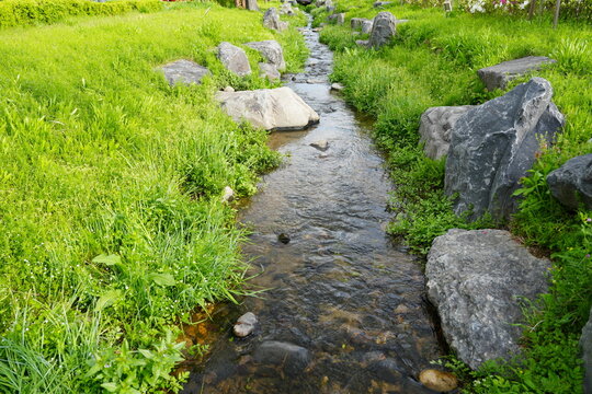 A brook babbling gently along the streamside