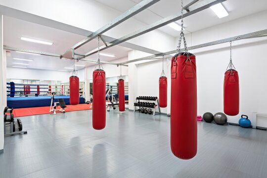 Empty boxing, health and fitness gym with workout, training and exercise equipment. A fight club, wellness or sports room full of punching bags for industry professional athlete, expert or trainer