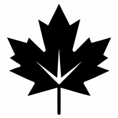 black and white star