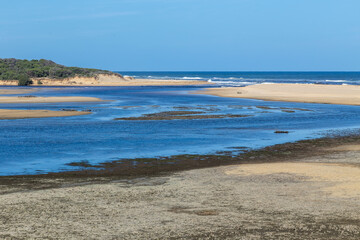 Obraz premium Lake Tyers Beach estuary after breaching the sand dune, with tidal flow between lake and Bass Strait, exposed sandbanks, coastal vegetation, and clear sky in Victoria, Australia.