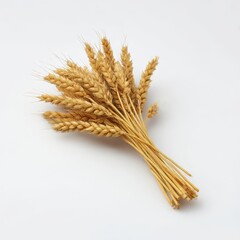 Wheat bundle close up shot isolated on white background