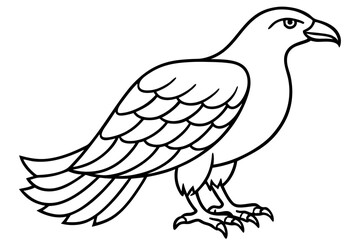 Majestic Eagle Outline