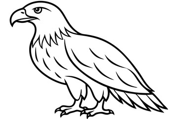 Majestic Eagle Outline