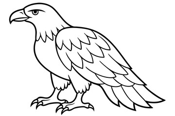 Majestic Eagle Outline