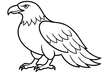Majestic Eagle Outline