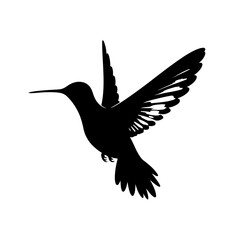 Fototapeta premium Hummingbird silhouette