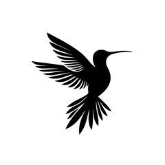 Obraz premium Hummingbird silhouette