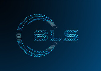 BLS low poly letter logo vector design. BLS lower poly logo design.
