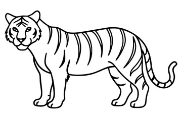 Majestic Tiger Outline