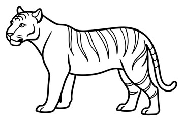 Majestic Tiger Outline