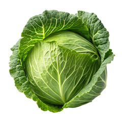 Cabbage isolated on transparent background