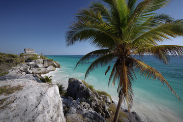 Fototapeta premium Tropical beach with white sand palm trees and ancient ruins