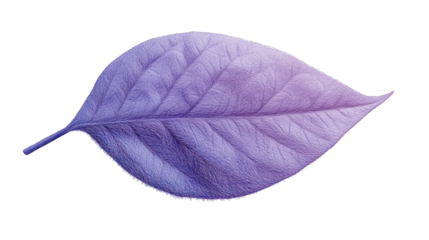 A close-up, digitally manipulated image of a textured leaf with a vibrant purple-lavender gradient.