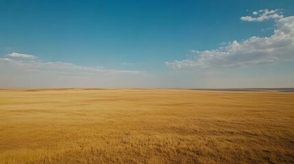 Expansive golden prairie landscape under a vast, azure sky.