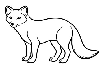 Minimalist Arctic Fox Line Art
