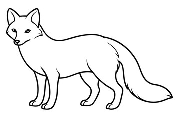 Minimalist Arctic Fox Line Art