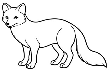 Minimalist Arctic Fox Line Art