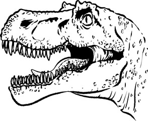 Prehistoric dinosaur head illustration. isolated clipart. Dangerous ancient predator, tyrannosaurus fossil design element