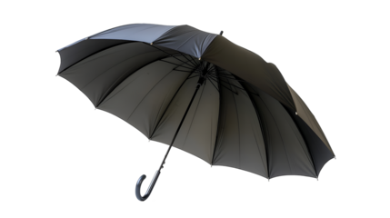 Fashionable Black Umbrella Durable Weather Protection with Modern Design.