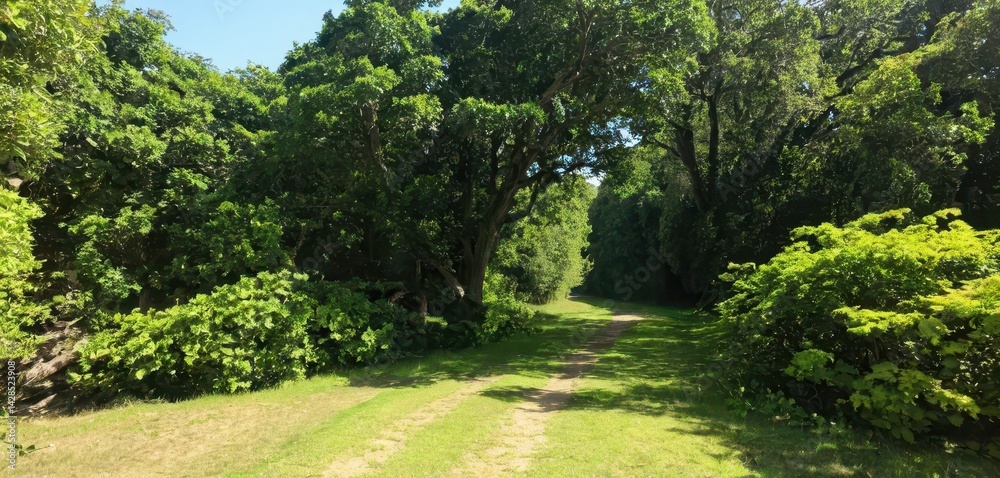 Poster a serene sun-dd path winding through a lush green forest with dense foliage creating a natural shade