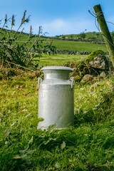 Obraz premium A aluminum milk churn rests in a field of lush green grass, Vintage Milk Churn in a Lush Green Pasture Azores. Rustic Aluminum Milk Can Standing Amidst the Vibrant Countryside of Ilha de Sao Jorge