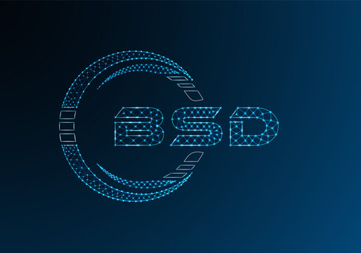 BSD low poly letter logo vector design. BSD lower poly logo design.