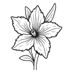 azalea  hand drawing illustration silhouette