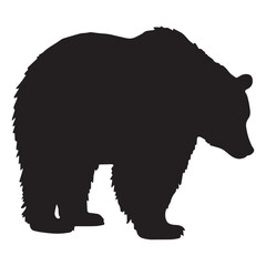 bear hand drawing illustration silhouette