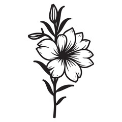 columbine  hand drawing illustration silhouette