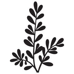 euphorbia hand drawing illustration silhouette