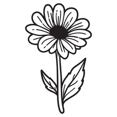 heliotrope  hand drawing illustration silhouette