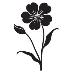 honesty-lunaria  hand drawing illustration silhouette
