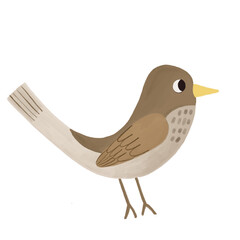 Cute Hand-drawn Bird Illustration for Kids