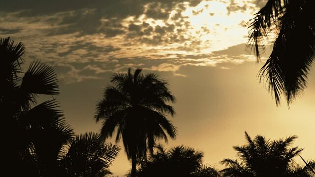 Timelapse du soleil couchant &agrave; travers les nuages, rayons cr&eacute;pusculaires et silhouettes de palmiers et r&ocirc;niers dans le ciel tropical d&rsquo;Afrique de l&rsquo;Ouest