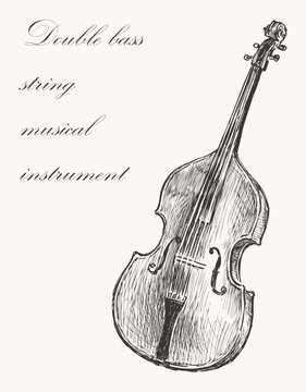 double bass sketch musical instrument clip art preview
