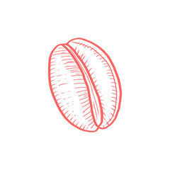 Red vector illustration of cowrie sea shell. Hand drawn marine shell in engraving style. Isolated ocean element for beach or tropical design.