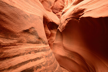 Rattlesnake Slot Canyon Arizona